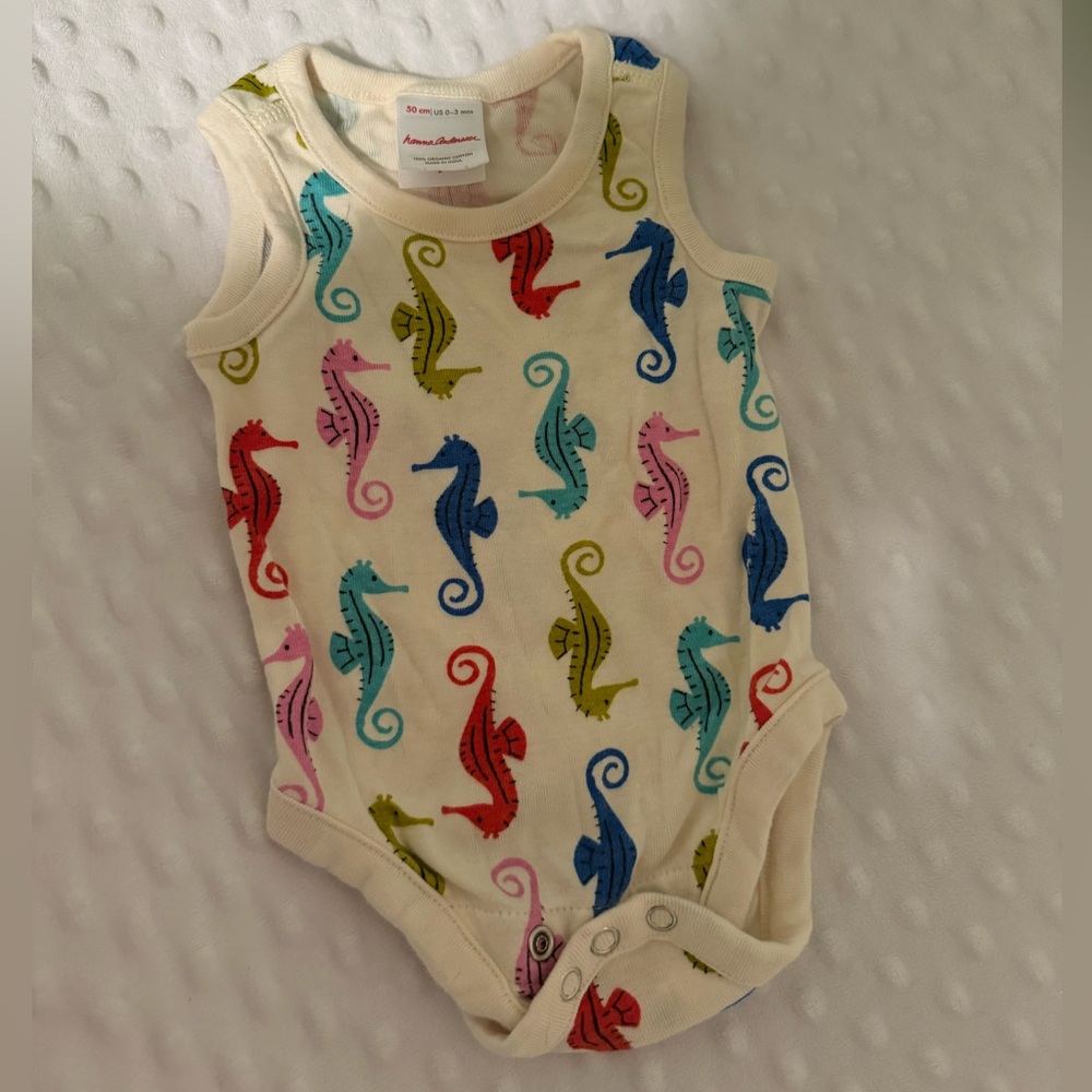 Hanna Andersson onesie